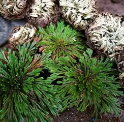 带你一路骑行, 穿越非洲沙漠1