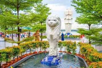消失的“美人鱼”还会回来吗?6