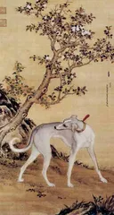 狗,人类创造的亲密伙伴6