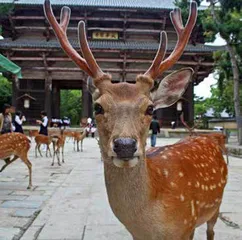在中秋节,见一见世界各地的月亮3