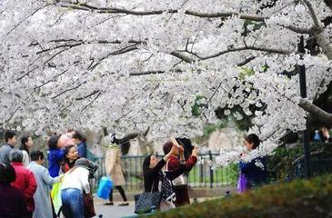 送你一朵小红花, 跟我一起环游世界1