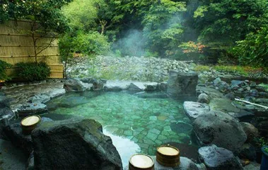 疫情之下,日本“宅文化”登峰造极2