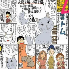 伊坂幸太郎:谁都别惹动物7