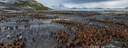 虚拟旅游:炒作概念还是旅游的未来?3
