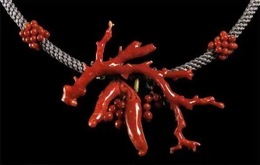 珊瑚:神奇美颜的千年灵物3
