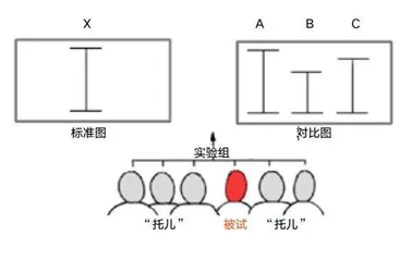 你在多大程度上受到“群体”影响?1