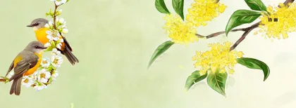 经过桂花（外一首）