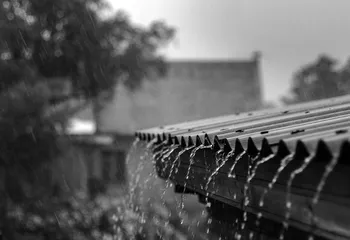 春雨小感