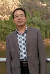 庭前紫荆树