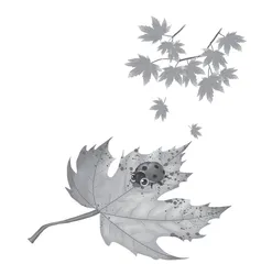 中日古诗里的季节感