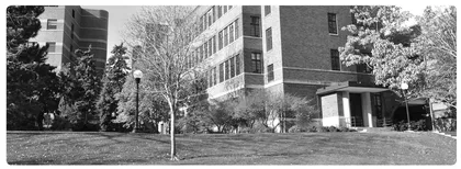 我的大学