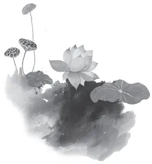 荷之韵