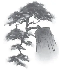 且将诗酒趁年华