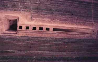 跨越时空的“法医”,揭秘传奇帝王之死2
