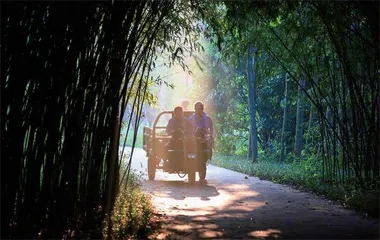 “县城神车”,走俏美利坚2
