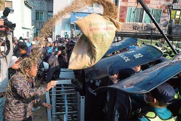 坐飞机去倒卖大米,韩国粮食怎么了?3