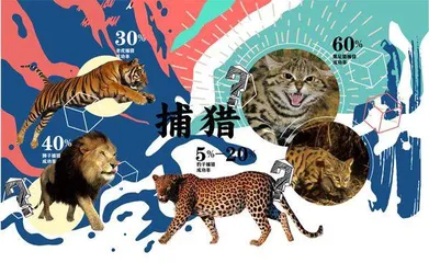 世界上最凶残的猫科动物在哪里?1