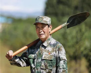 将军和他的树