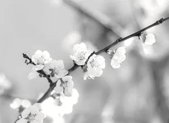 老穆