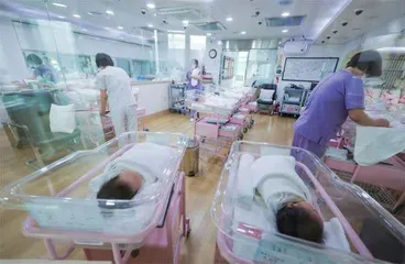 人造子宫,能否拯救人口危机?1
