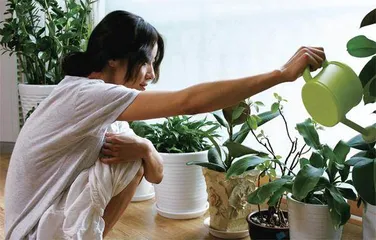 反思暴力,韩国诞生首位诺奖女作家3