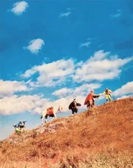 你的悟空,我的吗喽1