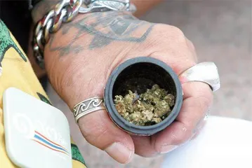 泰国大麻经济盛况,踩不了刹车1