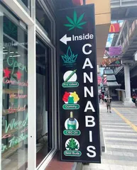 泰国大麻经济盛况,踩不了刹车3