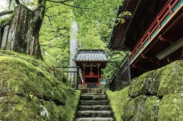 没见过“日光”,就别说漂亮1