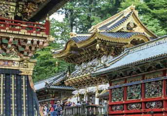 没见过“日光”,就别说漂亮2