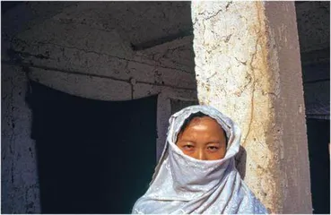 女人,逃出家庭的重围2