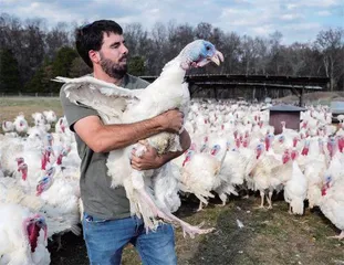 H5N1首现传播异常,美欧拉响警报1