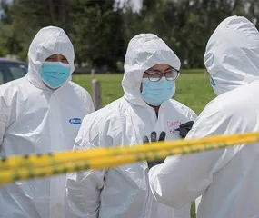 H5N1首现传播异常,美欧拉响警报4