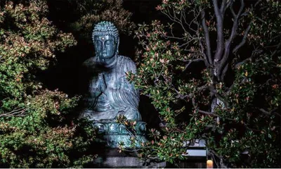 日暮里,一粒时空胶囊5
