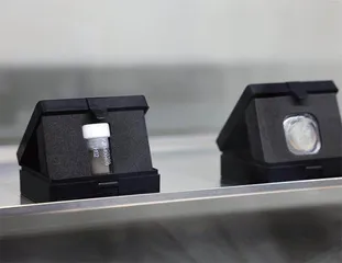 在月球种豆角,有戏吗1