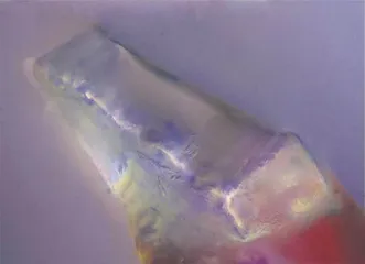 在月球种豆角,有戏吗2