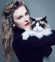 无孩的猫女士,这次怒了3