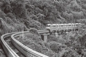 灭毒