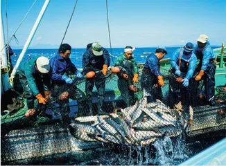 日本核废水，到底还是来了3