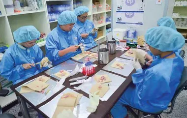 宠物复活,温情背后的残忍3