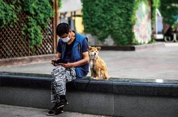 在韩国，狗比孩子多
