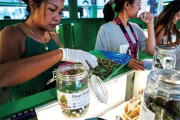 大麻合法化,泰国后悔了2