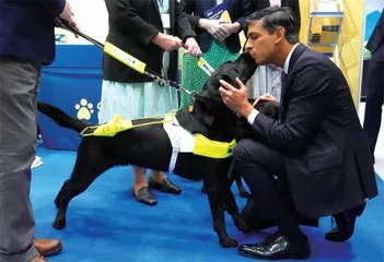恶霸犬频繁咬死人,惊动英国首相1