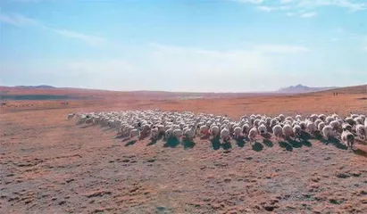 竹内亮:寻找长江第一滴水2