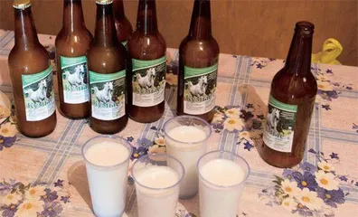 在哈萨克斯坦,喝宜昌啤酒2