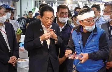 东亚渔业何时走出阴霾?3