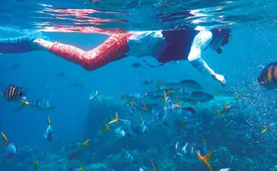 在上帝的水族箱,孩子们说了算3