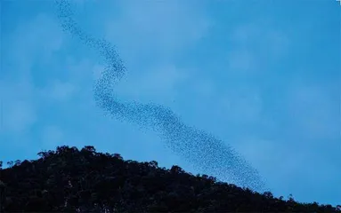 姆鲁山,遁世假期1