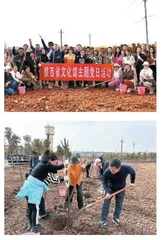 全省动态：党建引领添新绿 义务植树争先锋