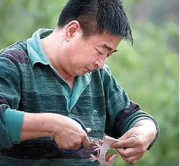 郭宏雄剪纸作品欣赏